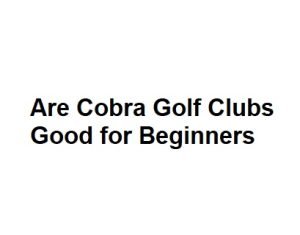 Are Cobra Golf Clubs Good for Beginners