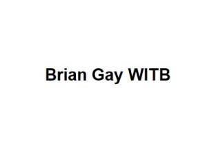 Brian Gay WITB