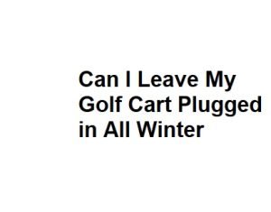 Can I Leave My Golf Cart Plugged in All Winter