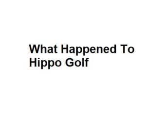 What Happened To Hippo Golf