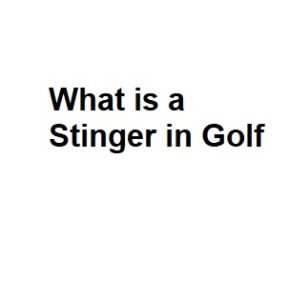 What is a Stinger in Golf