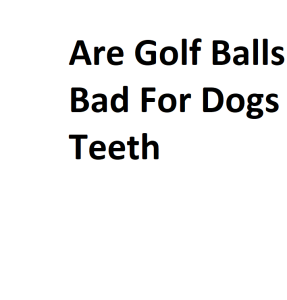 Are Golf Balls Bad For Dogs Teeth