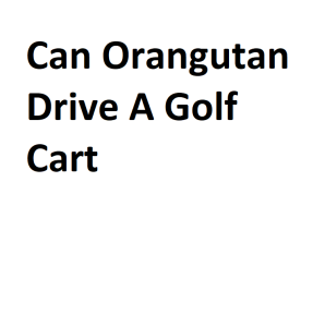 Can Orangutan Drive A Golf Cart