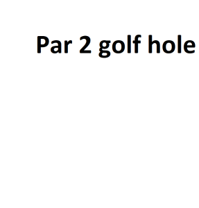 Par 2 golf hole
