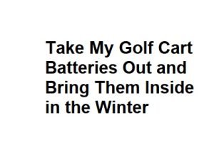 Take My Golf Cart Batteries Out and Bring Them Inside in the Winter