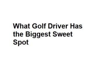 What Golf Driver Has the Biggest Sweet Spot