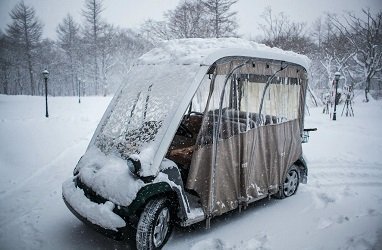 how to winterize a golf cart