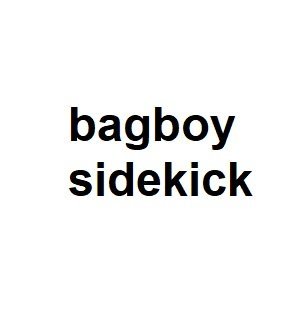 bagboy sidekick