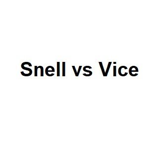 snell vs vice