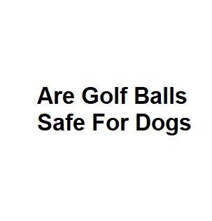 Are Golf Balls Safe For Dogs