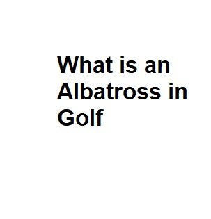 What is an Albatross in Golf